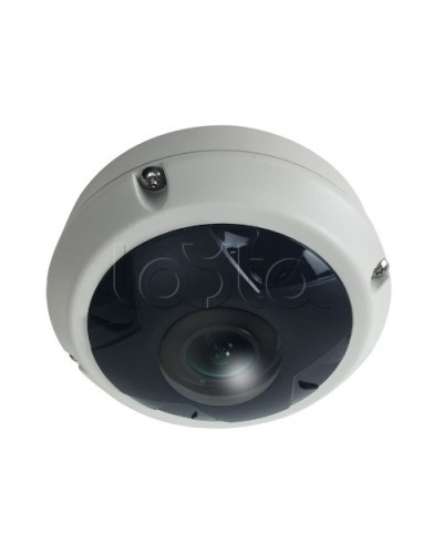 IP-камера видеонаблюдения купольная EverFocus ACE-KU89F в Волжском IP-камеры Pintop.ru